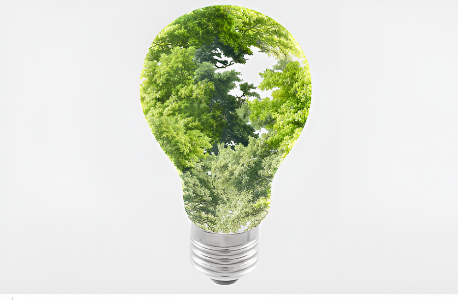 Membangun Budaya Berkelanjutan: Mengapa Kesadaran ESG Adalah Kunci Masa Depan Perusahaan